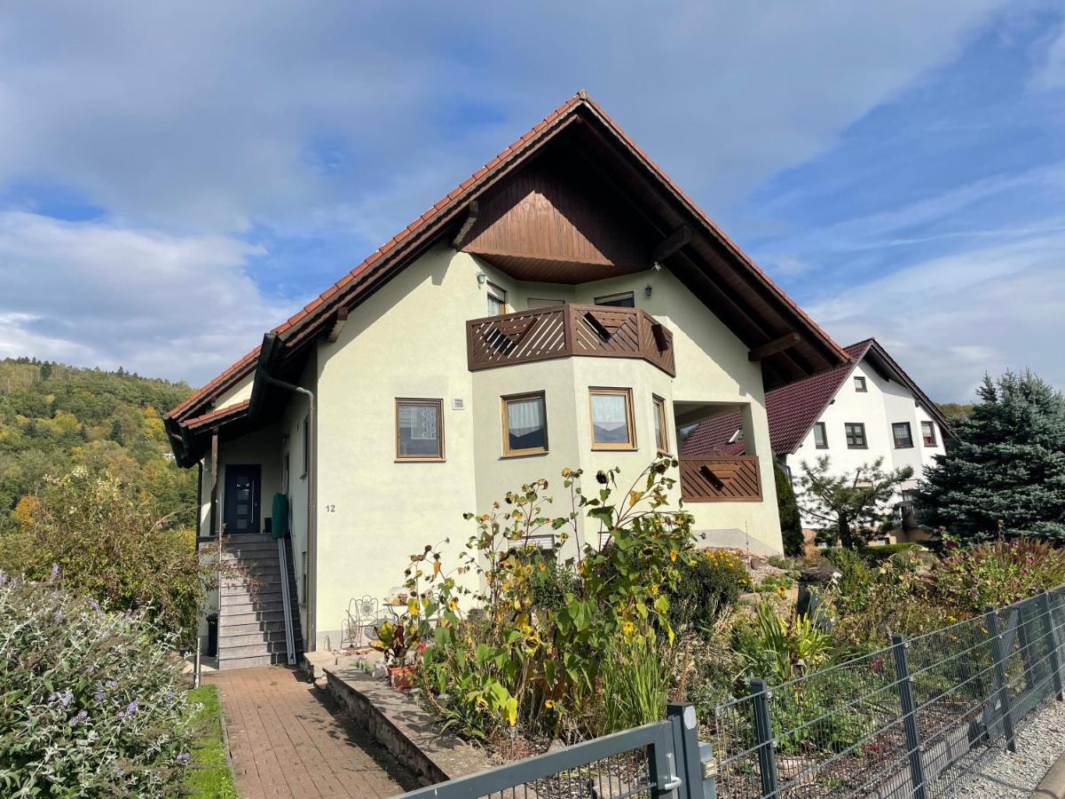 Ferienwohnung Fam.Werner Wasungen エクステリア 写真